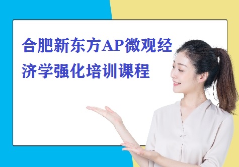 合肥新东方AP微观经济学强化培训课程