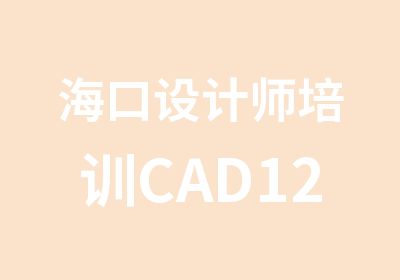 海口设计师培训CAD12班火爆报名中