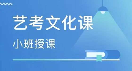 昆明新东方艺术考试文化课程培训-课程简介