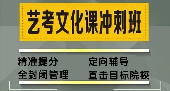 昆明家长信任高三艺术考试文化课冲刺学校