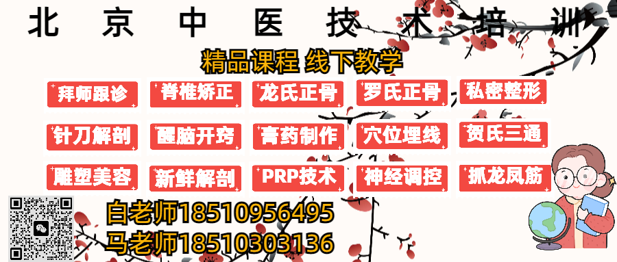 混元精针双师伴学营4月18日北京班