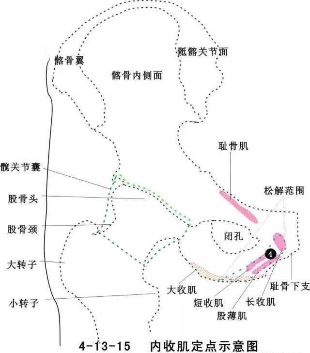 针刀医学【消毒与麻醉】    