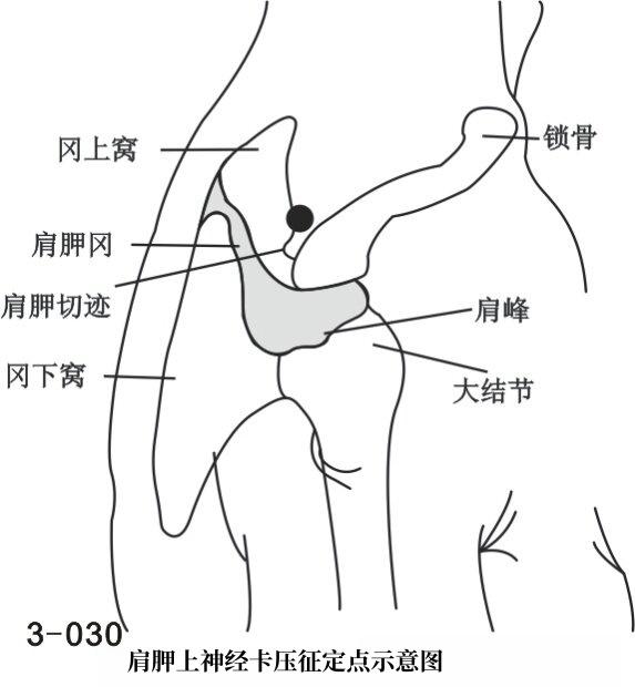 24年甘肃针刀弟子班