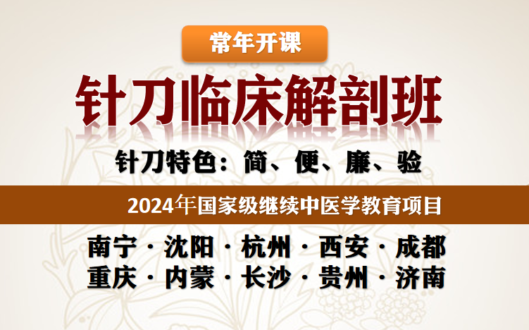 24年新疆针刀医学临床解剖班