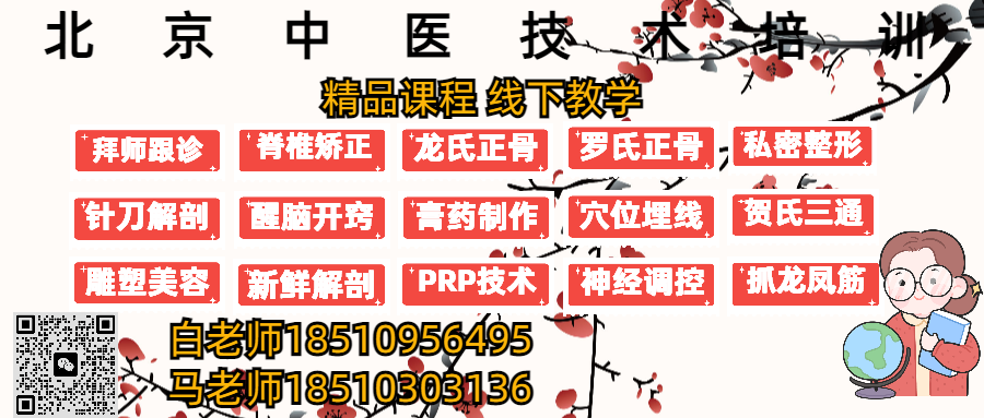 11月15日北京贺氏三通针灸传承讲习班