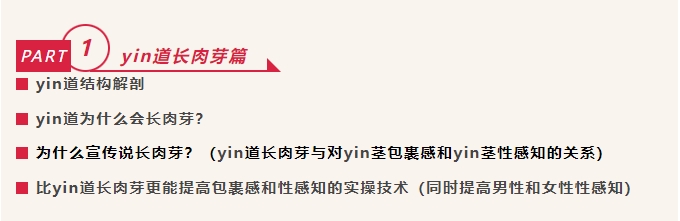 男士、女士徒手私密整形学习班