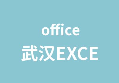 office武汉EXCELVBA高手
