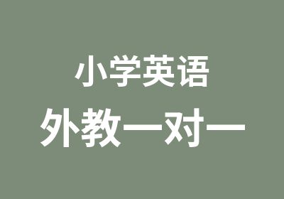 小学英语外教