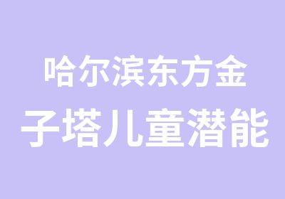 哈尔滨东方金子塔儿童潜能培训培训中心