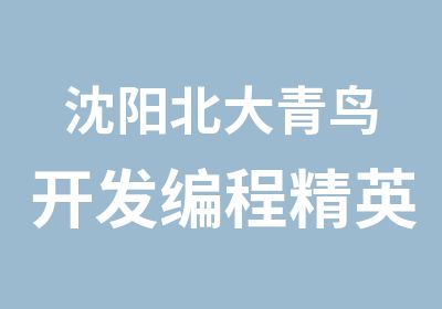 沈阳北大青鸟开发编程