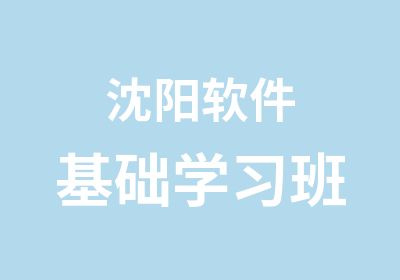 沈阳软件基础学习班