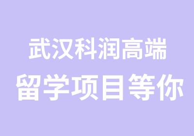 武汉科润高端留学项目等你来