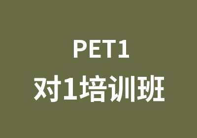 PET1对1培训班