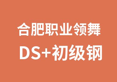 合肥职业领舞DS+初级钢管舞入门班培训