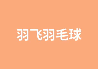 羽飞羽毛球