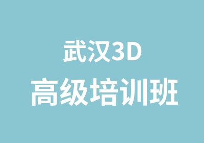 武汉3D培训班