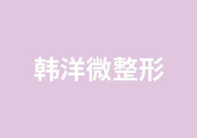 韩洋微整形