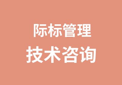 际标管理技术咨询