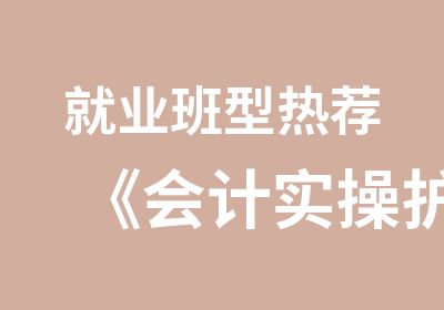 就业班型热荐《会计实操护航计划班》