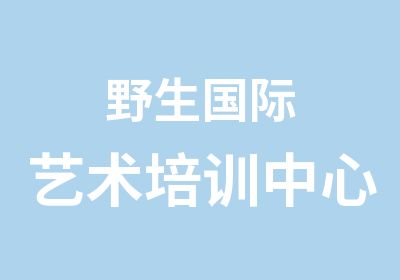 野生国际艺术培训中心