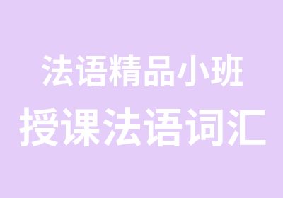 法语精品小班授课法语词汇语法培训