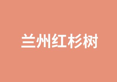 兰州红杉树