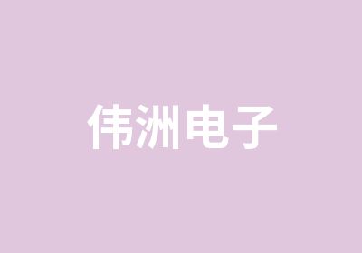 伟洲电子