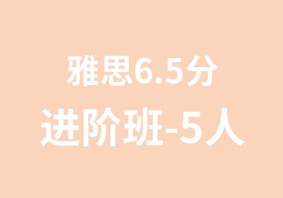 雅思6.5分进阶班-5人铂金班