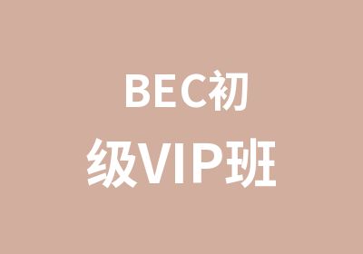 BEC初级VIP班