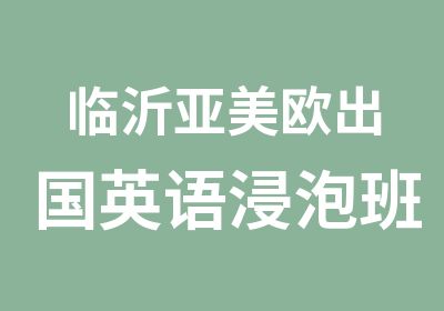 临沂亚美欧出国英语浸泡班面授网课