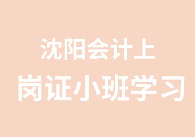 沈阳会计上岗证小班学习