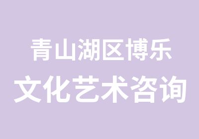 青山湖区博乐文化艺术咨询中心