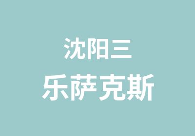 沈阳三乐萨克斯