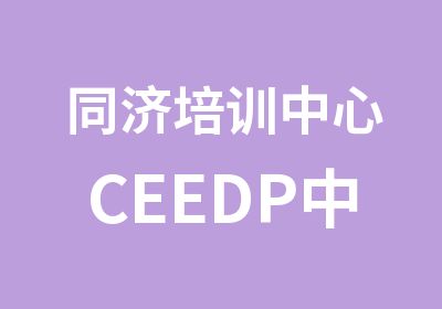 同济培训中心CEEDP中心