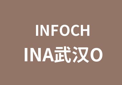 INFOCHINA武汉Office培训