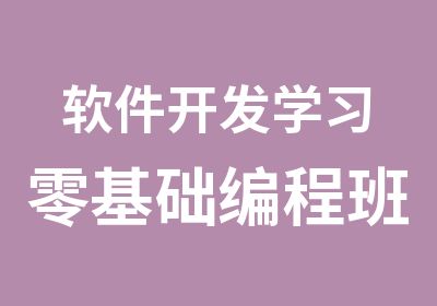 软件开发学习零基础编程班