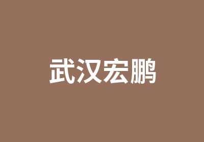 武汉北大青鸟鲁广北校区