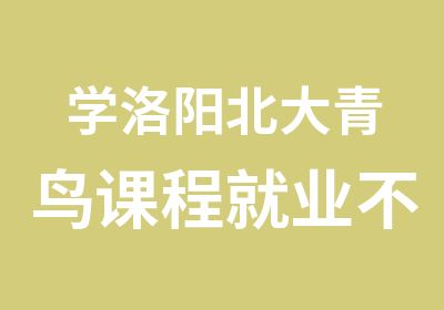 学洛阳北大青鸟课程就业不再是难题