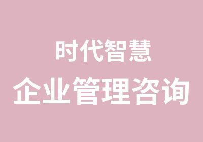 时代智慧企业管理咨询