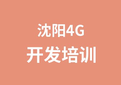 沈阳4G开发培训