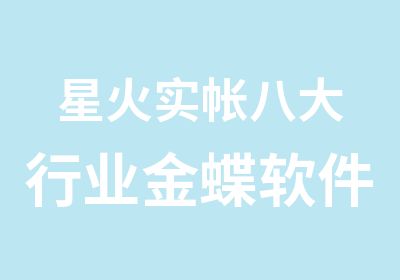 星火实帐八大行业金蝶软件真实账簿税务处理