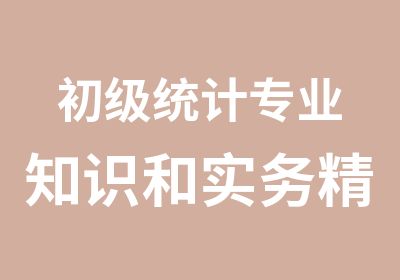 初级统计专业知识和实务精讲班