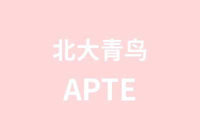 北大青鸟APTE