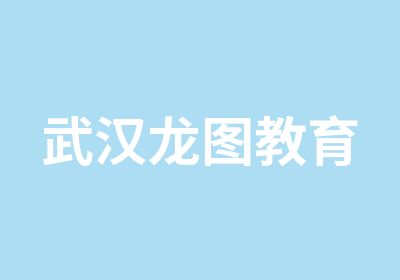 武汉幻维龙图科技有限公司