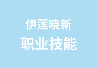 伊莲晓新职业技能