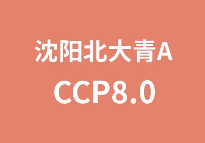 沈阳北大青ACCP8.0班