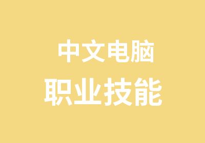 中文电脑职业技能