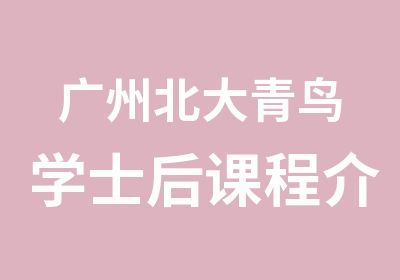 广州北大青鸟学士后课程介绍