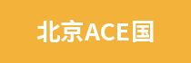 北京ACE国际艺术教育