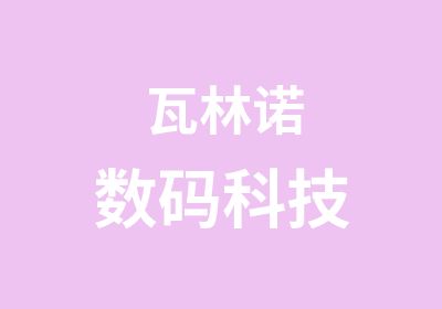 瓦林诺数码科技